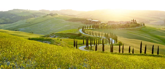 Fotobehang Toscane Zonnige velden in Toscane, Italië