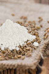 Fototapeta na wymiar Portion of Spelt Flour (close-up shot)