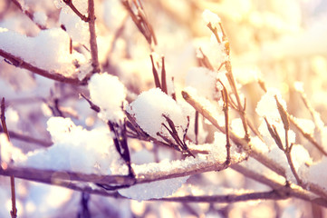 Winter.