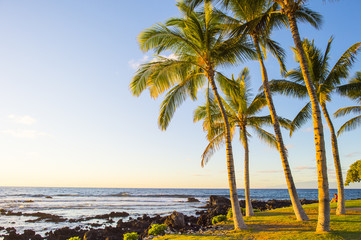 hawaian beach at sunset time - obrazy, fototapety, plakaty