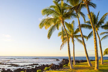 Photo sur Plexiglas Plage tropicale hawaian beach at sunset time
