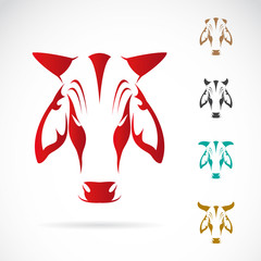 Vector image of cow head on white background