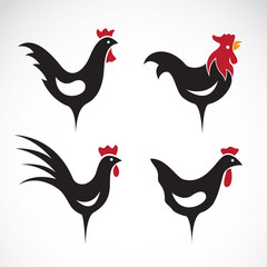 Vector image of an chicken design on white background