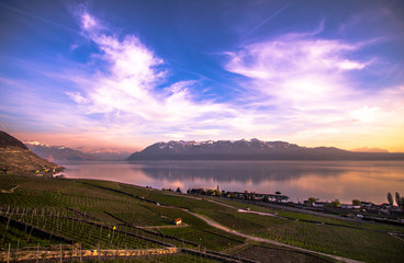 Geneva Lake and Alps
