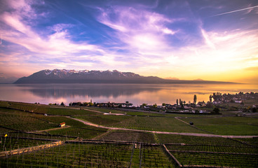 Geneva Lake and Alps