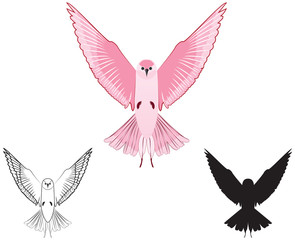 Vector Illustration and silhouette of a rose color bird.