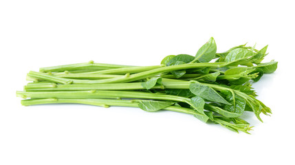 Malabar spinach or Ceylon spinach isolated on white