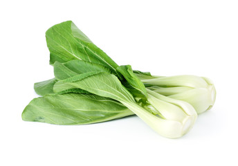 Bok choy (chinese cabbage) isolated on white