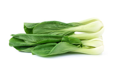 Bok choy (chinese cabbage) isolated on white