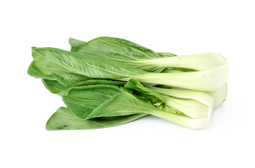 Bok choy (chinese cabbage) isolated on white