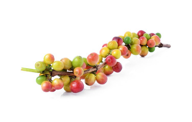 coffee beans on white background.