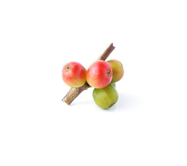 coffee beans on white background.
