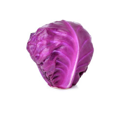 Obraz premium red cabbage on white background