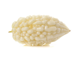 White bitter cucumber on white background