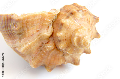 500_F_75439298_dnp6oKayV9FAeo1kLKCciL88ns87ku2E.jpg
