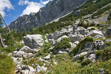 Alpine mountain