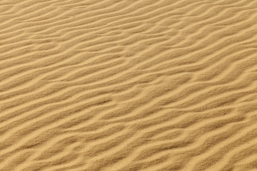 Fototapeta na wymiar Sand Waves