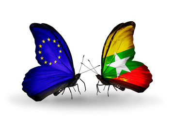 Two butterflies with flags EU and Myanmar