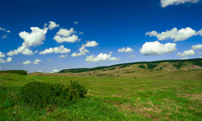 Green field and blue sky with light clouds