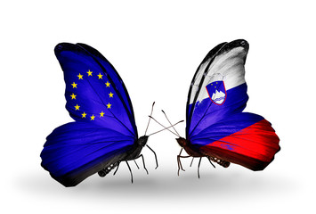 Two butterflies with flags EU and Slovenia