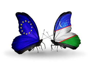 Two butterflies with flags EU and Uzbekistan