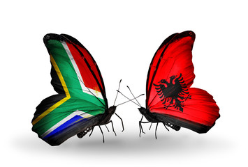 Two butterflies with flags South Africa and Albania
