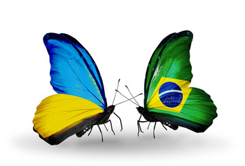 Fototapeta na wymiar Two butterflies with flags Ukraine and Brazil