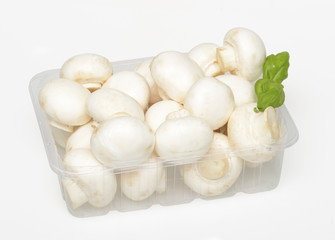 Champignons, Pilze, Schale