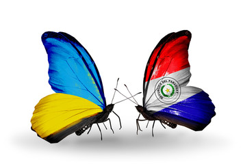 Two butterflies with flags  Ukraine and Paraguay