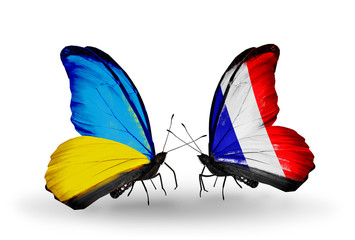 Two butterflies with flags Ukraine and France