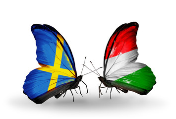 Two butterflies with flags Sweden and Hungary