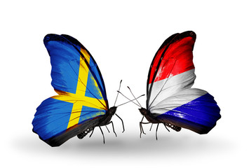 Two butterflies with flags Sweden and Holland
