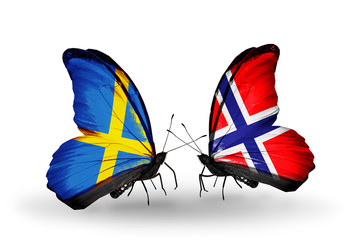 Two butterflies with flags Sweden and Norway