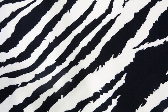 Zebra strip texture