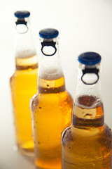 Bottle of beer
