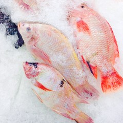 Tubtim fish on ice