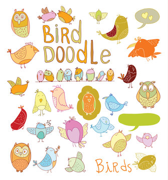 Bird doodle set. vector illustration.