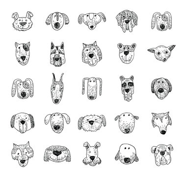 Breed dog collection icon, vector.
