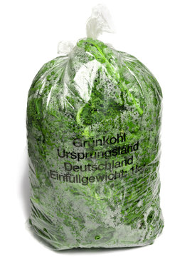 Gr&uuml;nkohl