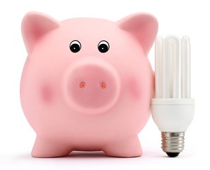 piggy bank with energy-saving lamp on white background