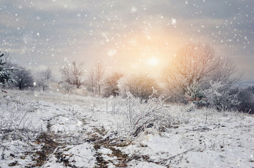 Obraz na płótnie Canvas Beautiful landscape with first snow