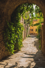 Old streets of greenery a medieval Tuscan town. - 75452089