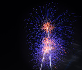 Colorful fireworks in the night sky