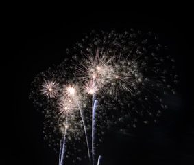 Obraz premium Colorful fireworks in the night sky