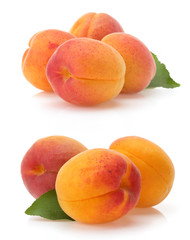apricot on white background