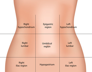 Search photos hypogastrium