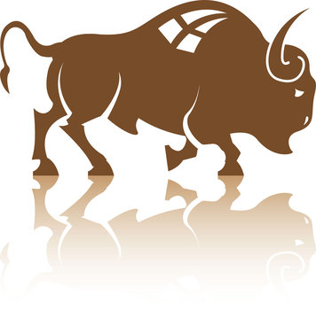 Bison Buffalo vector