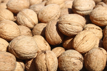close up studio shot of a Pile of natural walnuts
