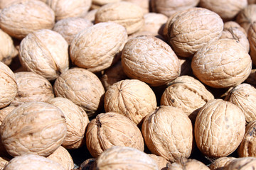 close up studio shot of a Pile of natural walnuts