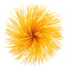 pasta in the form of a circle on a white background
